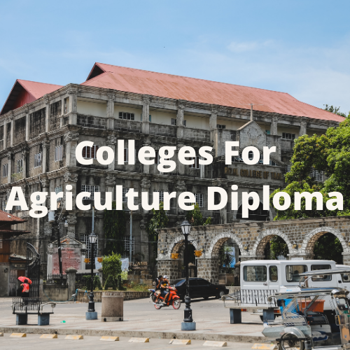 Agriculture Diploma